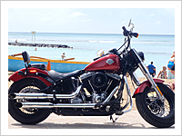 HARLEY DAVIDSON FLS　ソフテイルスリム